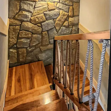 Pet Friendly In